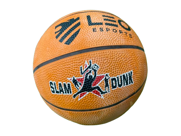 Slam Dunk basketball