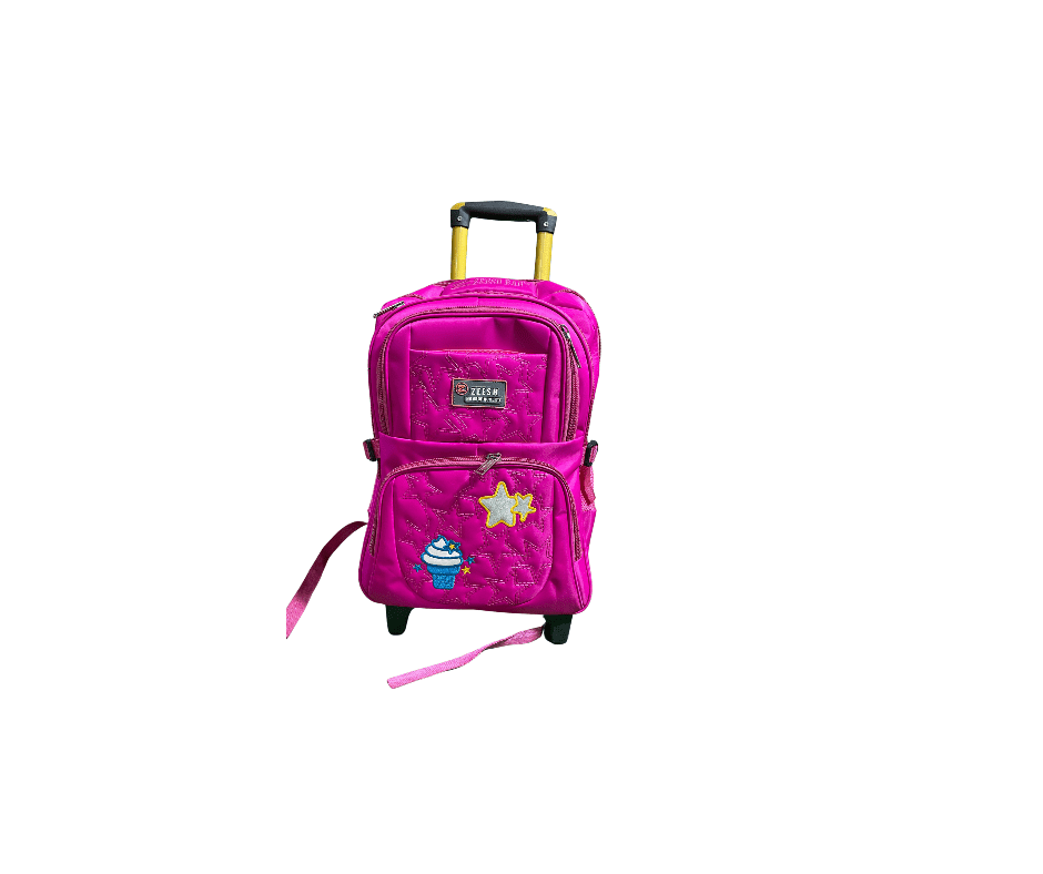 Trolley school bag